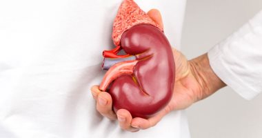 4 طرق طبيعية لتقليل نسبة الكرياتينين فى الدم